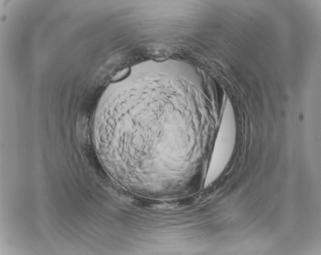 X0000071380511200607212216