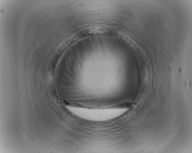 X0000071380513200607212216