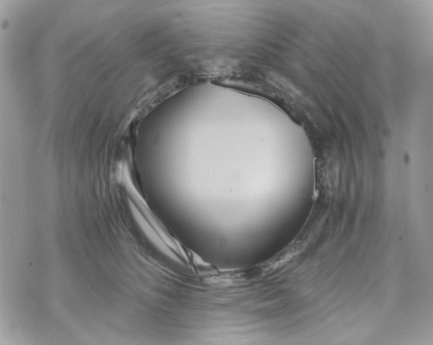 X0000071380516200607212216