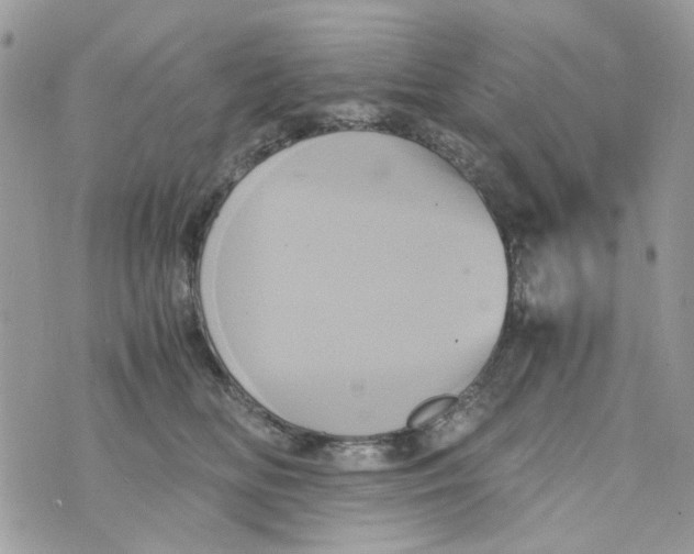 X0000071380518200607212216