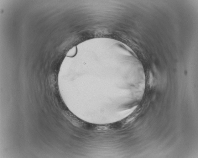 X0000071380519200607212216