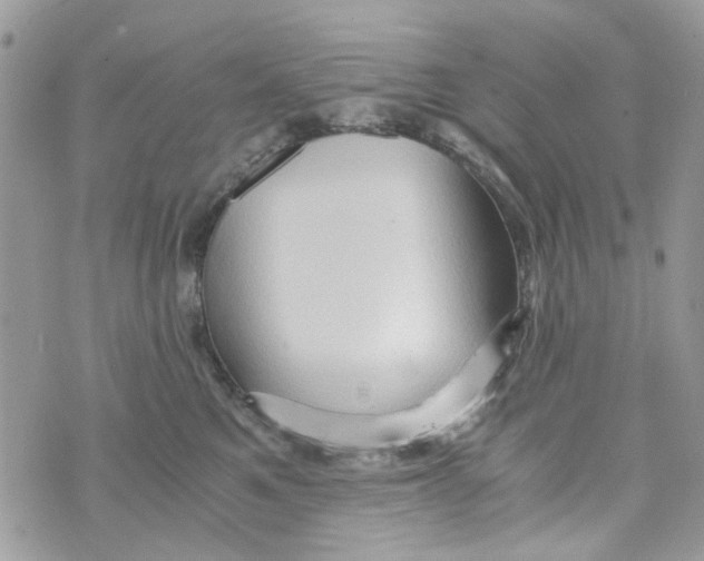 X0000071380521200607212216