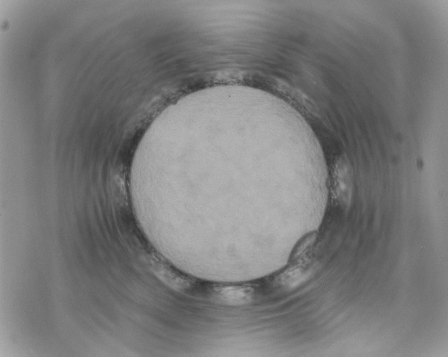 X0000071380522200607212215