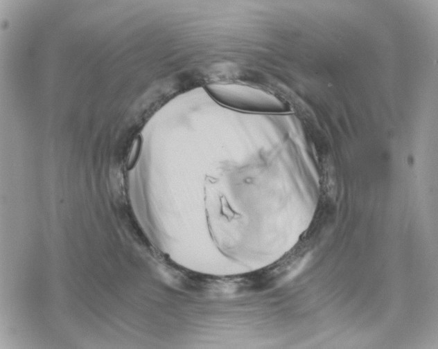 X0000071380523200607212215