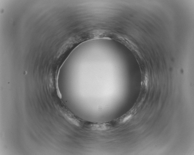 X0000071380524200607212215