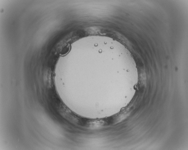 X0000071380525200607212215