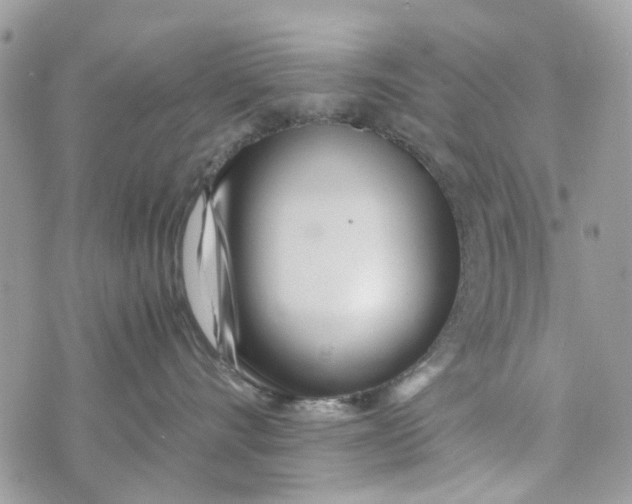 X0000071380528200607212215