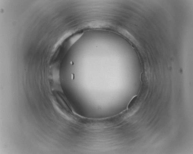 X0000071380530200607212215