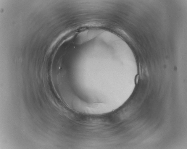 X0000071380531200607212215