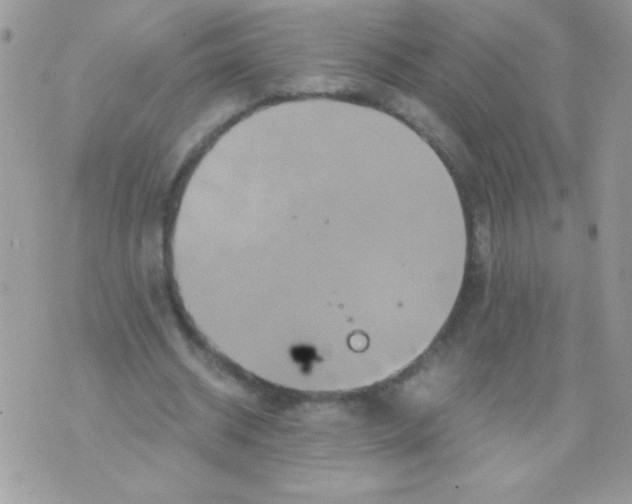 X0000071380534200607212215