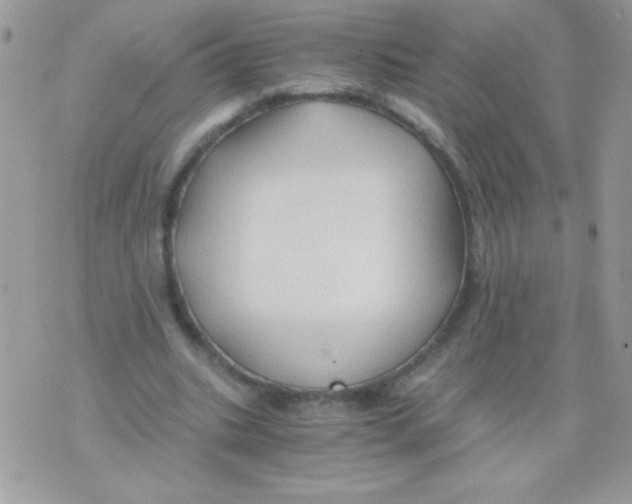 X0000071380535200607212215