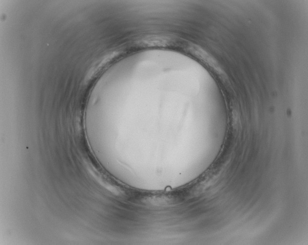 X0000071380537200607212215