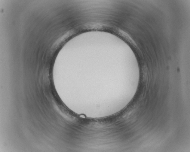 X0000071380538200607212215