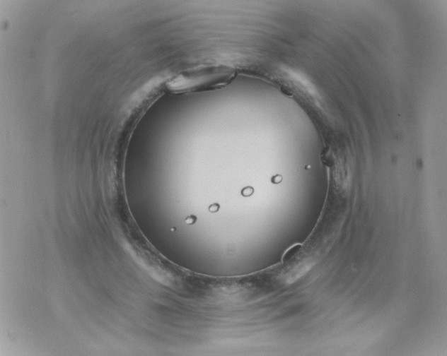 X0000071380540200607212215