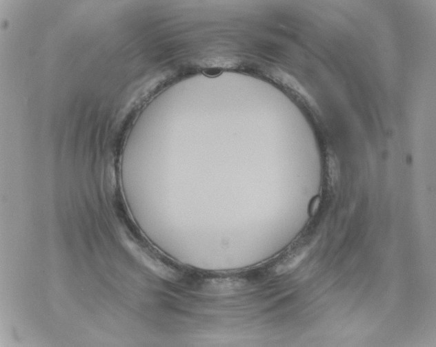 X0000071380541200607212215