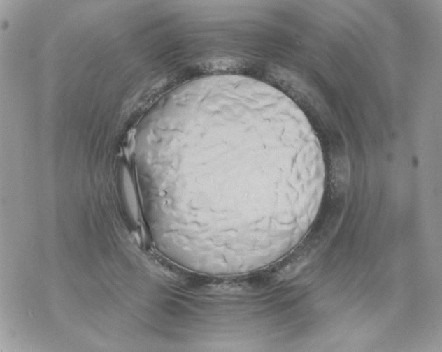 X0000071380545200607212215