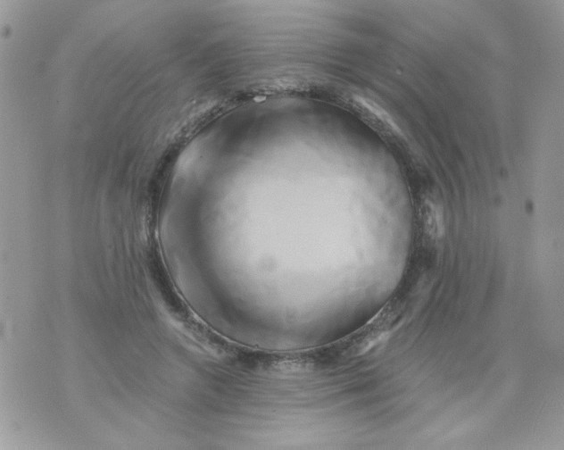 X0000071380546200607212215