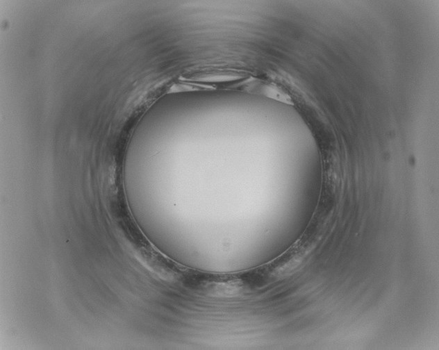 X0000071380548200607212215