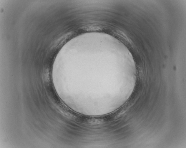 X0000071380549200607212215