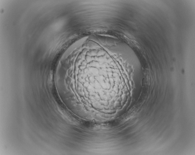 X0000071380550200607212215