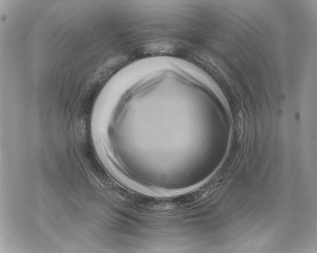 X0000071380551200607212215