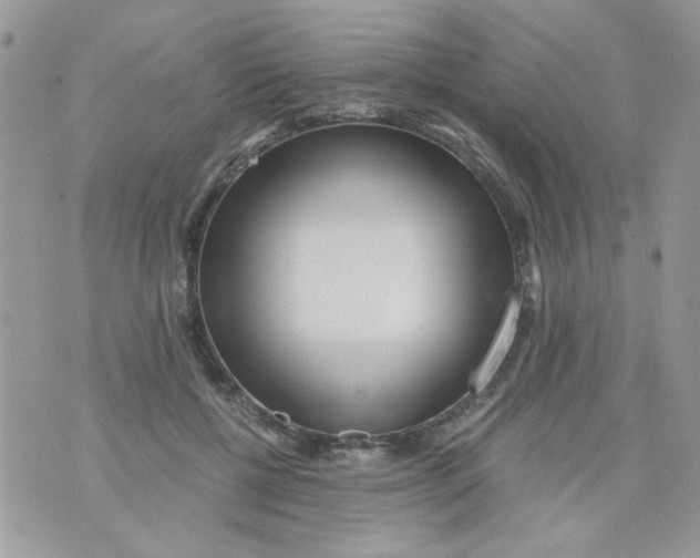 X0000071380552200607212215