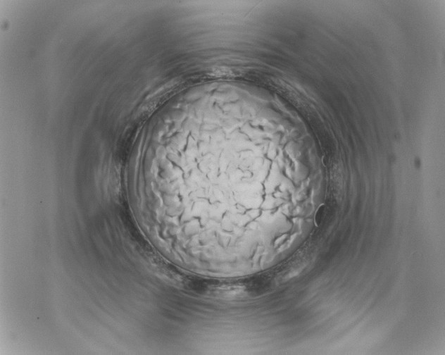 X0000071380554200607212215