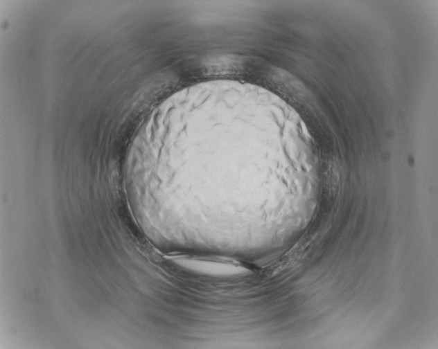 X0000071380557200607212215