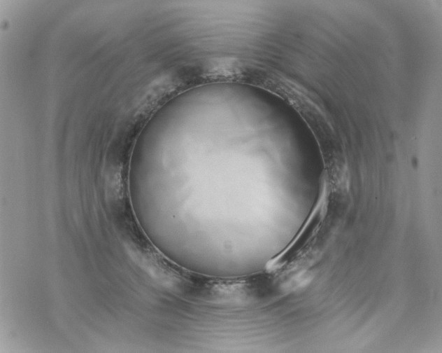 X0000071380560200607212215