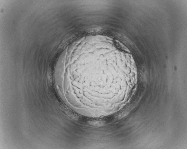 X0000071380561200607212215