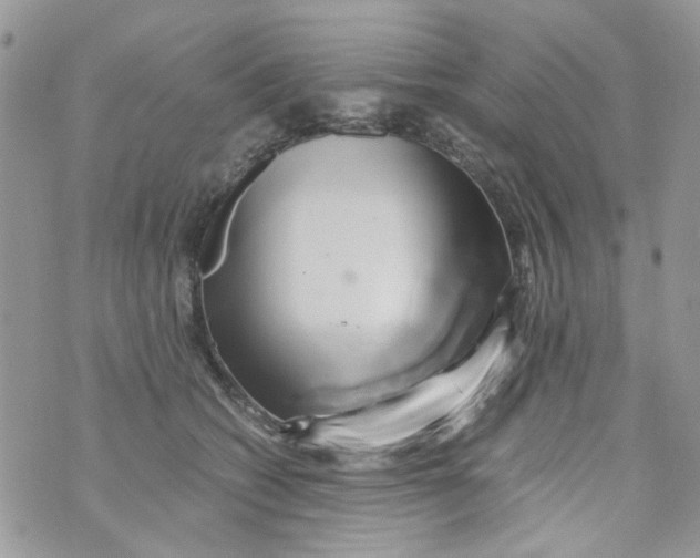 X0000071380562200607212215