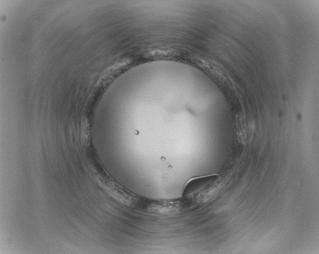 X0000071380563200607212215