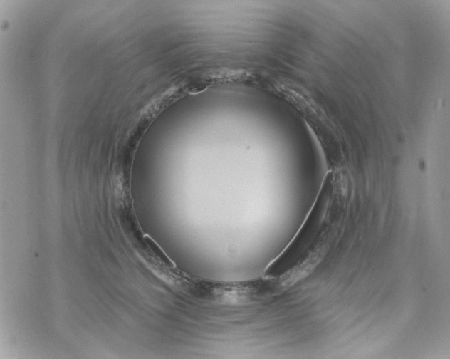 X0000071380564200607212215