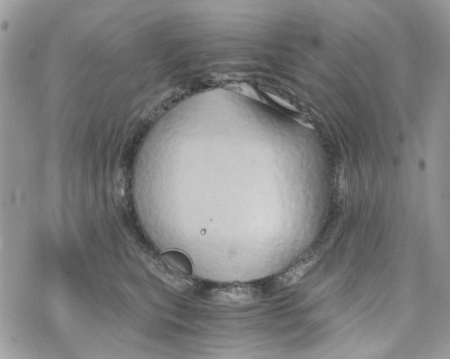 X0000071380567200607212215