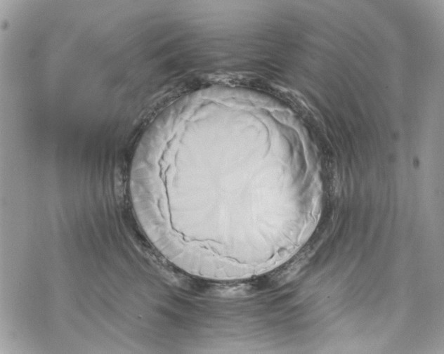 X0000071380569200607212215