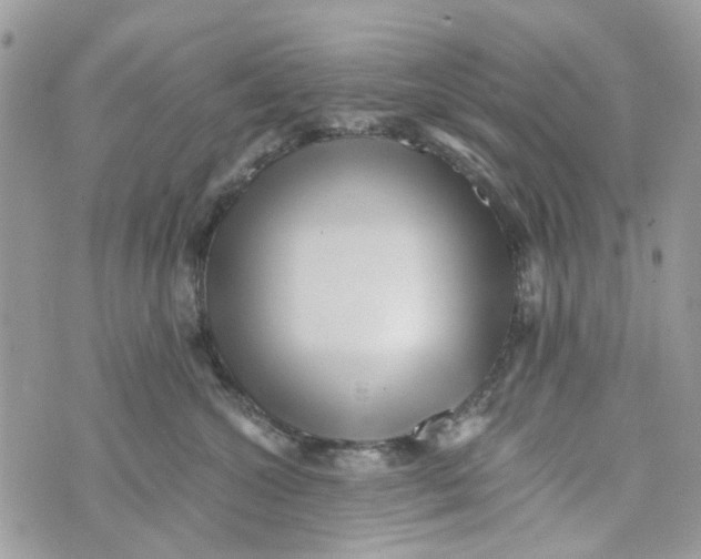 X0000071380572200607212215