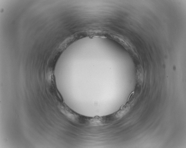 X0000071380574200607212215