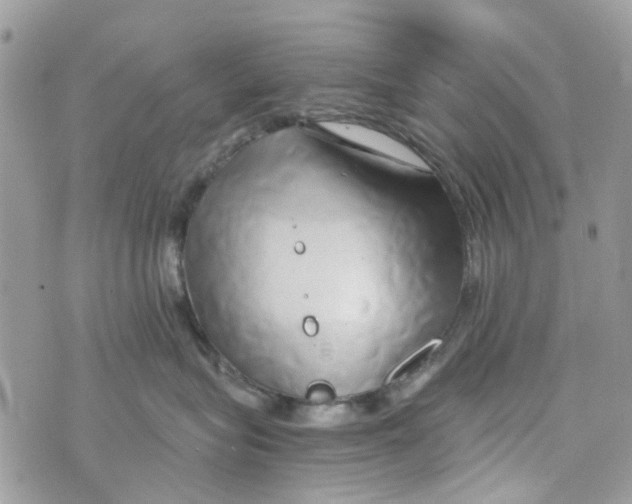 X0000071380575200607212215