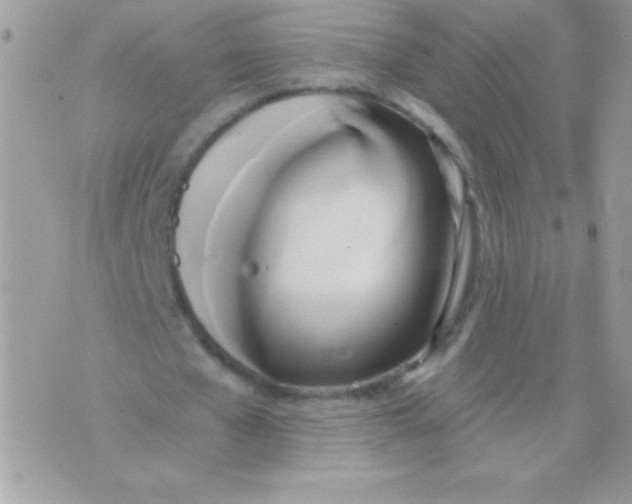 X0000071380577200607212215