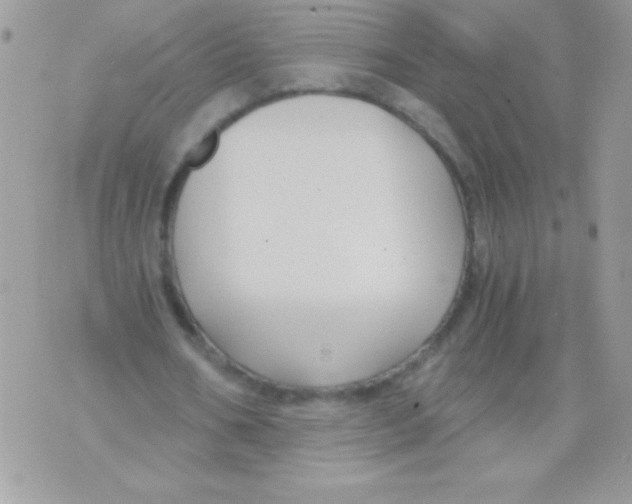 X0000071380578200607212215