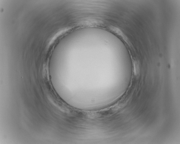 X0000071380579200607212215