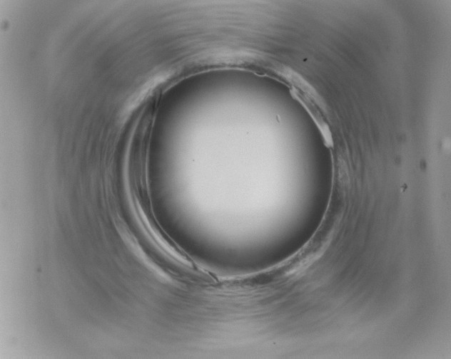 X0000071380581200607212215