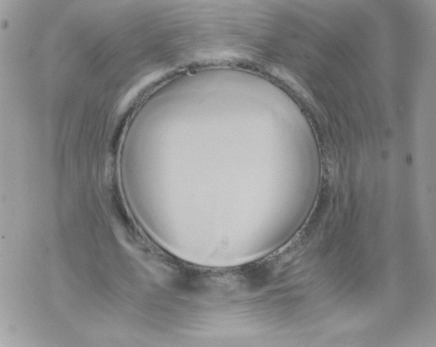 X0000071380583200607212214