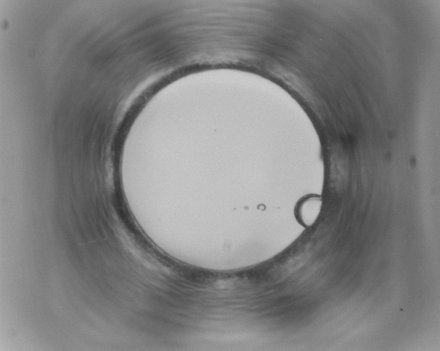 X0000071380584200607212214