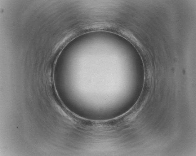 X0000071380585200607212214