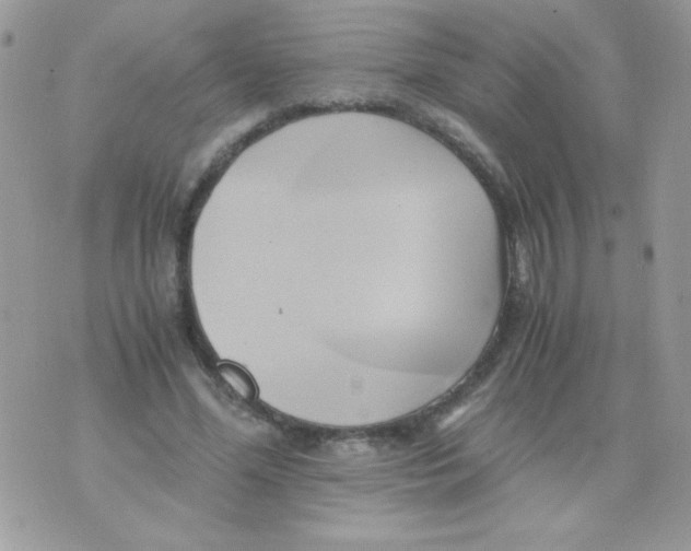 X0000071380588200607212214