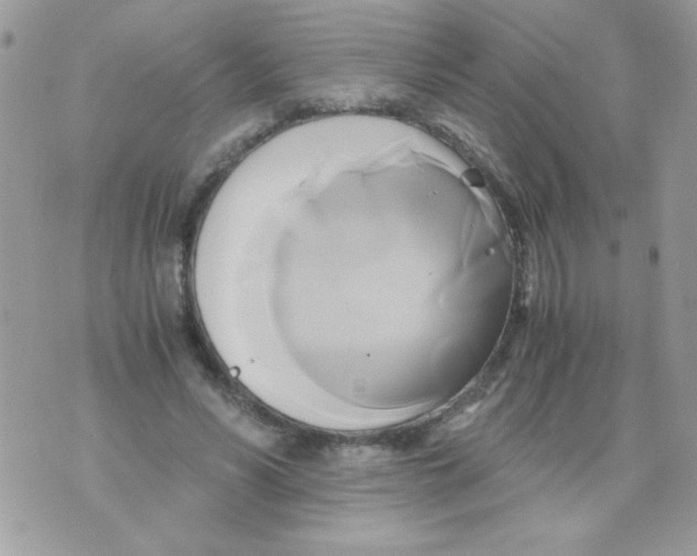 X0000071380590200607212214