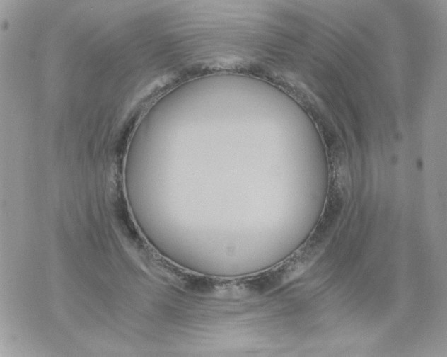 X0000071380591200607212214