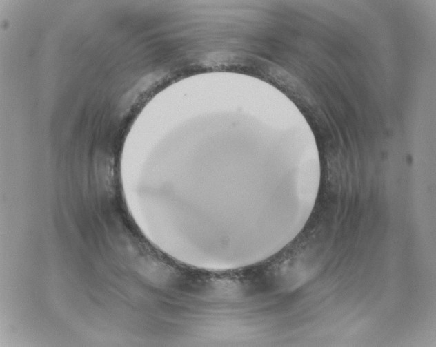 X0000071380592200607212214