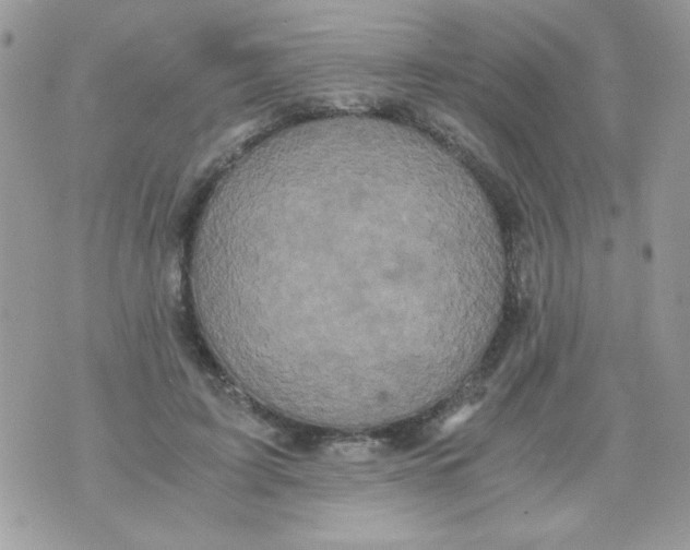 X0000071380595200607212214